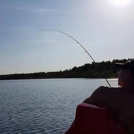 U Asi Вилкасы